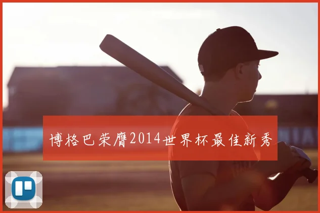 博格巴荣膺2014世界杯最佳新秀
